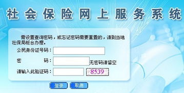 东莞社保个人账户查询与社会经济咨询服务指南