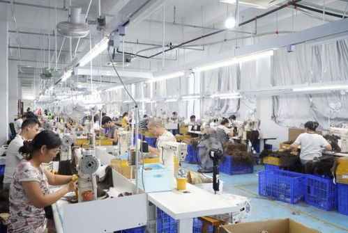 谷子经济走红拼多多 小发丝牵动大民生与产业新图景